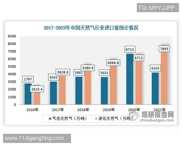 数据分析：LNG的灵活性表现