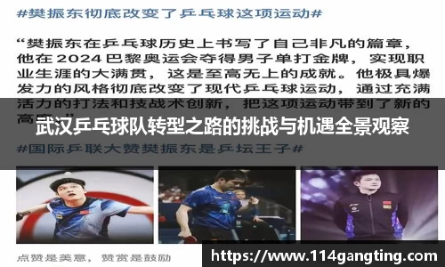 武汉乒乓球队转型之路的挑战与机遇全景观察