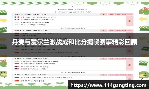 丹麦与爱尔兰激战成和比分揭晓赛事精彩回顾