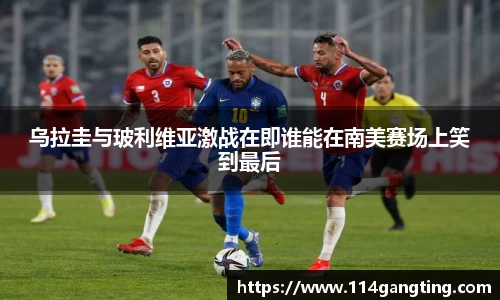 xk体育官网